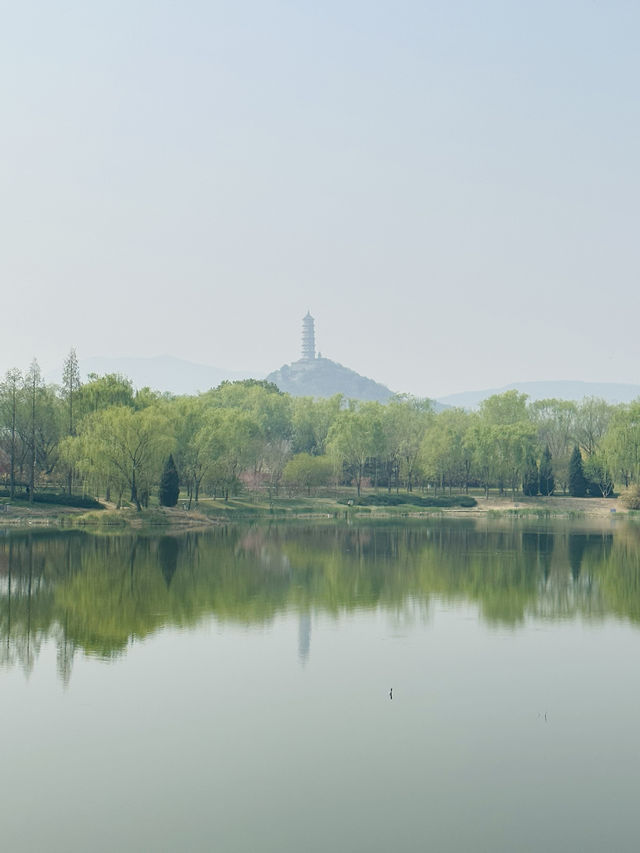 玉泉山腳下，鄰頤和園的免費公園-北坞公園