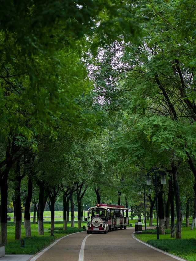 Emerald Wilderness within the Second Ring Road of Xi'an City🌿