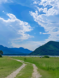 春日露營勝地：羅坑大草原的寧靜之旅