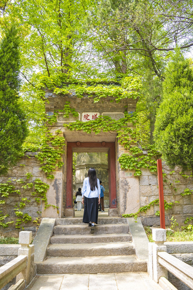 崂山徒步之旅，華嚴遊覽區藏著諸多神奇