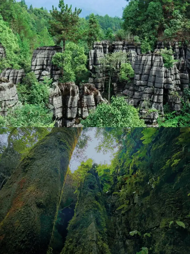 Enshi is not only famous for its Grand Canyon, but also for its stone forest, which resembles a labyrinth on the ocean floor