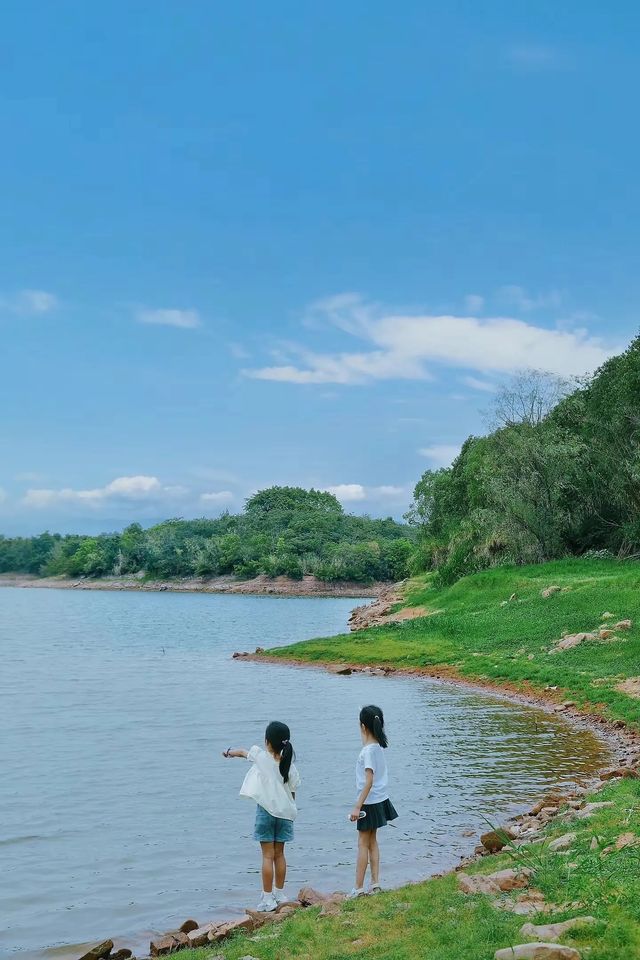 成都1h|開車直達的夏日湖畔露營地！