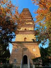 天下寺院不談情，唯有山西普救寺