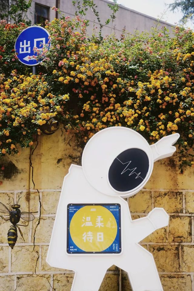 昆明浪漫預警!市區免費花海來襲! 昆明浪漫預警!市區免費花海來襲!
