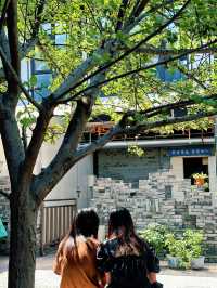 假期到成都去文殊坊感受慢生活