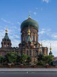 🌟 Harbin's Hidden Gems: Top Hotels for Your Stay 🏨✨