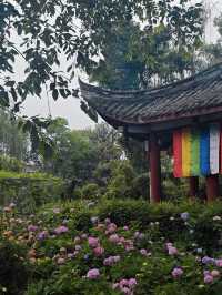 德陽 綿竹一日遊