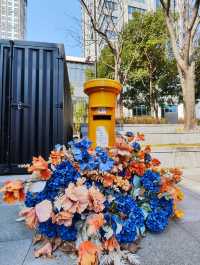街頭偶遇花房書屋