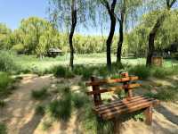 濟南森林公園