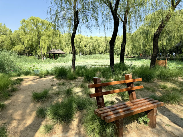 濟南森林公園
