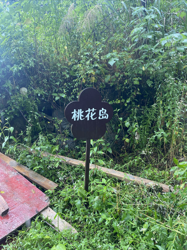 到金寨的優質路線