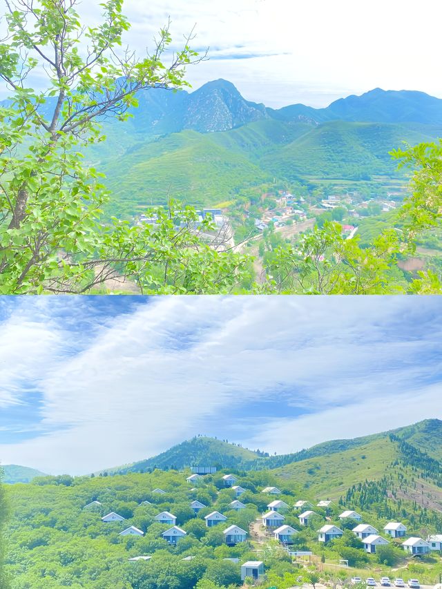 大數據把它推給熱愛自然的人/雲堡仙境