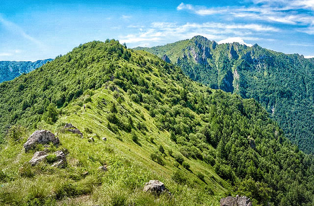 京西高山花海草甸｜夏日小五台·徒步之旅～