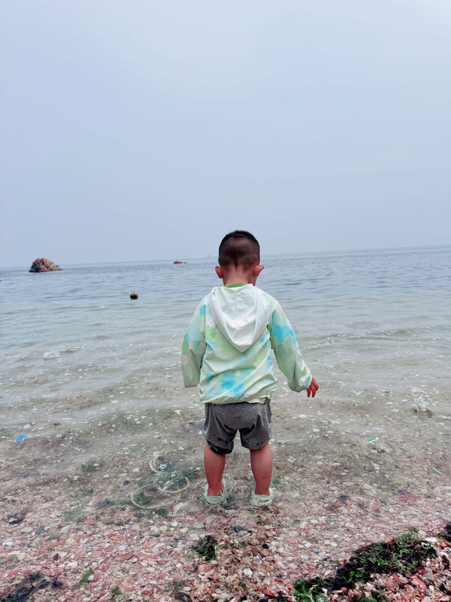 沒在國外，就在煙台養馬島，傳說中的果凍海～