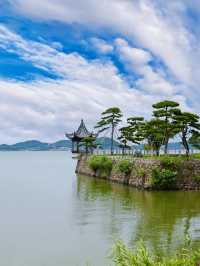 寧波這座絕美的美術館，竟是日本大師代表作！