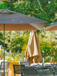 🌟 Provence Paradise: Unwind at Baumanière 🏨✨