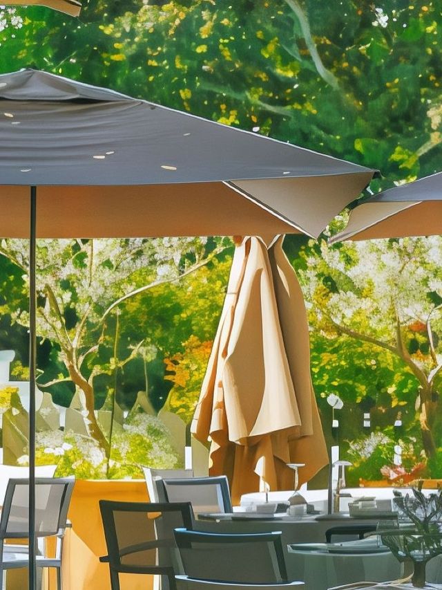 🌟 Provence Paradise: Unwind at Baumanière 🏨✨