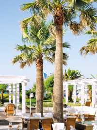 🌟 Rethymno's Finest: Grecotel Creta Palace Revealed! 🏖️✨
