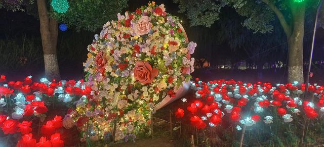 夜遊大陽山，瓊樓花月夜