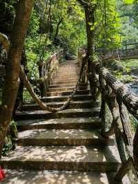 长沙周邊遊 | 株洲神龍谷森林公園