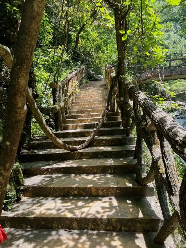 长沙周邊遊 | 株洲神龍谷森林公園