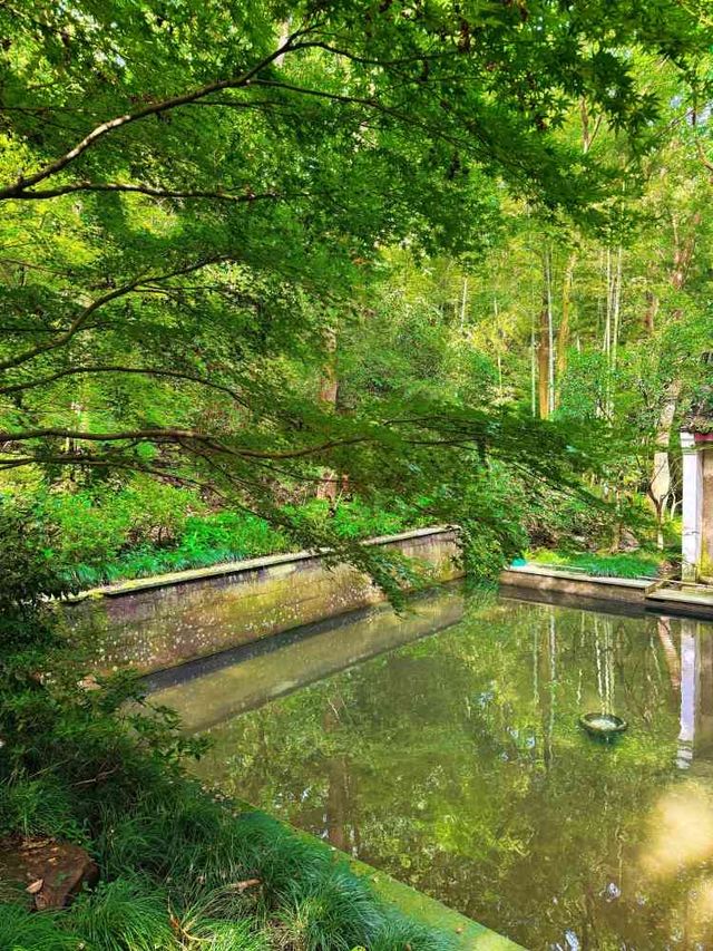 杭州虎跑公園·帶家人邂逅清幽詩意的世外桃源