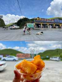 南山牧場：湖南人的“阿勒泰”秘境之旅
