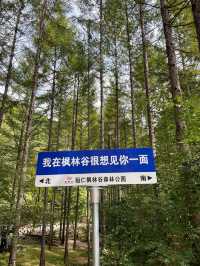 遼寧本溪恒仁楓林谷｜中國天然氧吧
