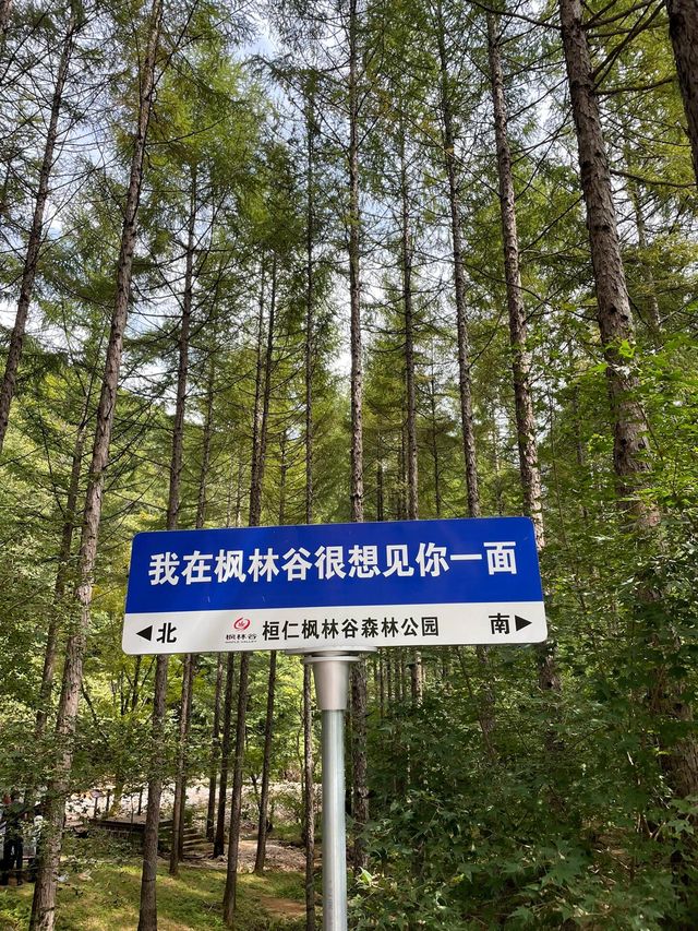 遼寧本溪恒仁楓林谷｜中國天然氧吧