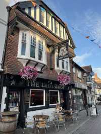 Canterbury is a small town in UK 🇬🇧 check out the nature 🩷