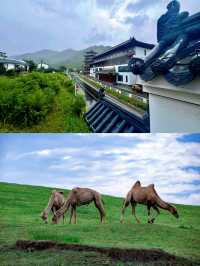十一帶娃自駕遊，我們住進了蒙古大帽子