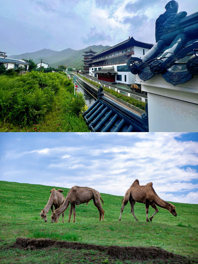 十一帶娃自駕遊，我們住進了蒙古大帽子