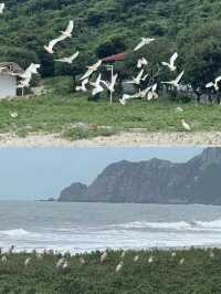 荷包島全新開放 | 兩天一夜的海島探險