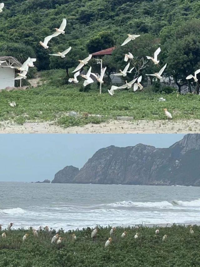 荷包島全新開放 | 兩天一夜的海島探險