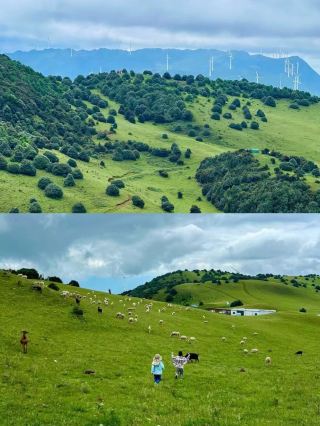 Niche Recommendation | Birdiao Mountain Hiking, Exploring the Altay of Dali