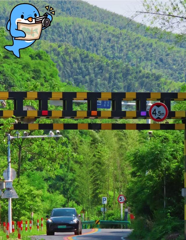溧陽，江南明珠的魅力之旅。