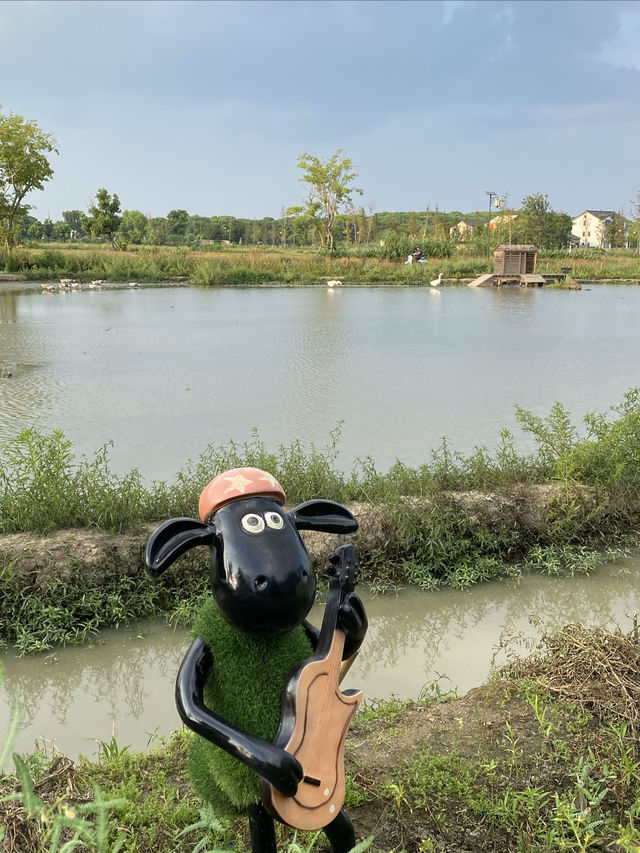 蘇州的遛娃聖地｜世外桃源般的曲水善灣