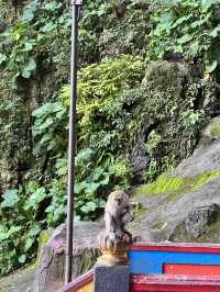 The Iconic Rainbow Stairs of Batu Caves, Kuala Lumpur 