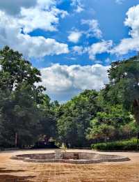 玉溪避暑之選：寧州公園。