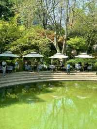 藏在上海靜安公園裡的花園度假風泰國餐廳。