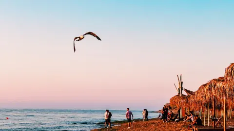Bờ biển Đen của Romania | Một hướng dẫn du lịch toàn diện giúp bạn chiêm ngưỡng vẻ đẹp của bờ biển Đông Âu. — traveler post in Constanta