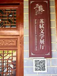 蘇軾的文學成就--宋代文學的巔峰。