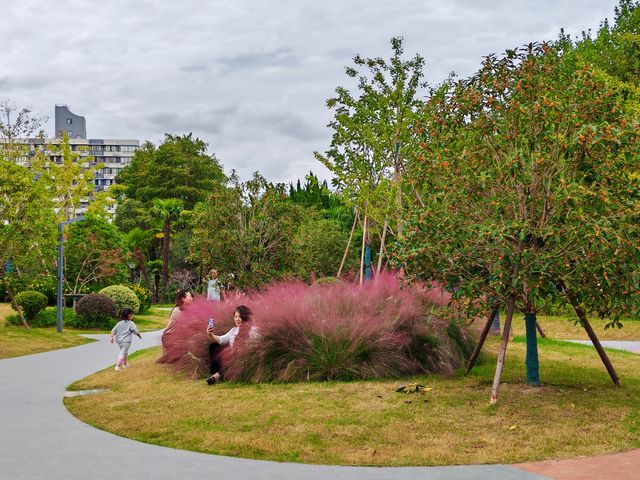 遊覽上海康健園 了解其前生今世。