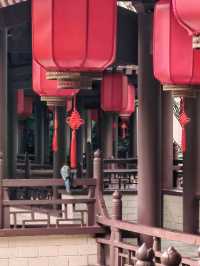 西安這家酒店居然在院子裡養孔雀？？？。