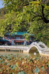 桂林西山公園 | 城市中的自然寶藏。