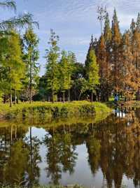 福州閩江公園|福州的浪漫，閩江公園佔一半。