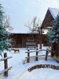 深圳雪景木屋阿勒泰！。