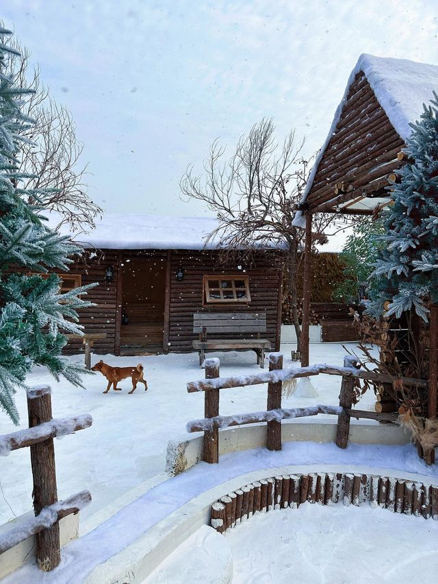 深圳雪景木屋阿勒泰！。