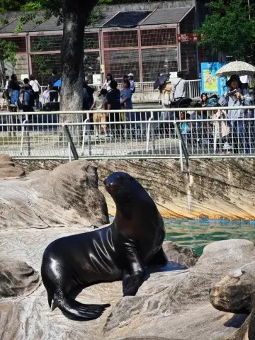 無需迴避!名古屋東山動植物園