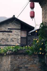 湖南岳陽|張谷英村•與古村落的美麗邂逅。